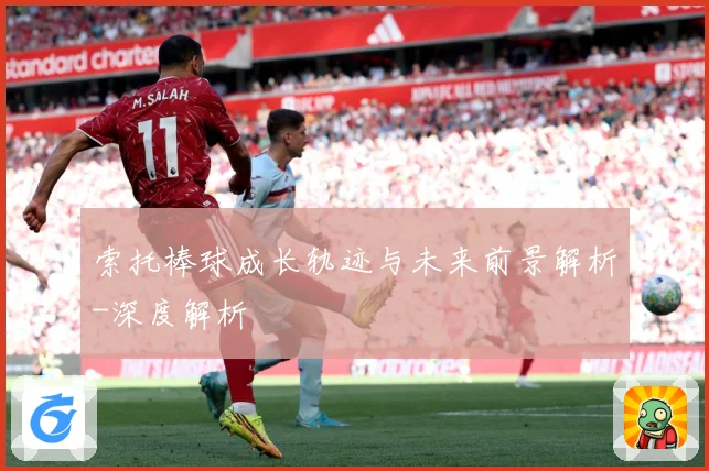 索托棒球成长轨迹与未来前景解析-深度解析
