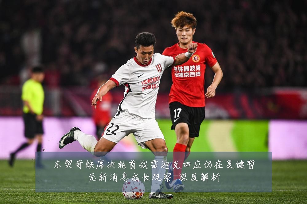 东契奇缺席次轮首战雷迪克回应仍在复健暂无新消息成长观察-深度解析